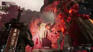 REMNANT 2 - BEAT ROOT NEXUS COOP MODE