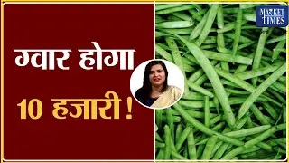ग्वार होगा 10 हजारी ! Market Times TV #guar #guargum #guarseed #guarprice #ग्वार