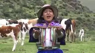 HNAS ALEGRIA vaquero (Toril Apurimac)