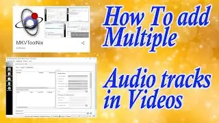 How to Add Multiple Audio and Subtital Tracks in a Video