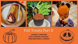 Walt Disney World Vlog/Fall Treats 2020/Animal Kingdom/Hollywood Studios/Beaches &Cream
