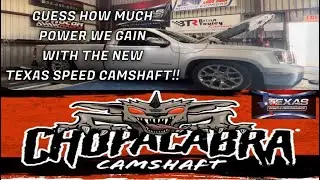 New Texas Speed Chopacabra Camshaft Installation + Dyno Numbers