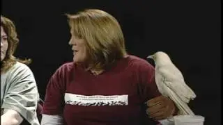 Wildlife Center of Silicon Valley Part 2