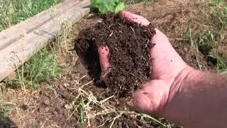 Ein Komposthaufen und eine Weidefl&auml;che behandelt mit Plocher Produkten