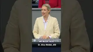 Weidel fordert: Heizungsgesetz und Verbrennerverbot SOFORT abschaffen! #shorts