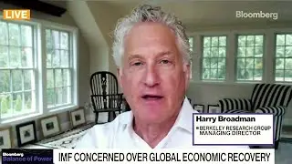 Bloomberg TV: &ldquo;Governance of the IMF and World Bank, Data Integrity and Economic Outlook