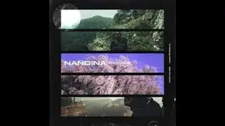 ~Drex Carter ~ nandia ~ LofiMix~