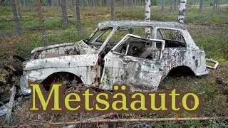Mets&auml;auto #abandoned #car #forgotten #abandonedcar #oldcar #urbexcars