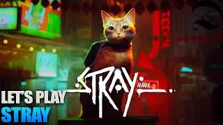 LET&rsquo;S PLAY | Stray [Switch 2] | Dan Scorpion