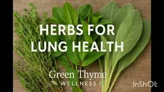 Breathe Easy: Herbs That Support Lung Health Naturally