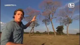Freek Vonk heeft een vliegende balzak gevonden