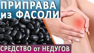 Приправа из чёрной фасоли || Профилактика недугов