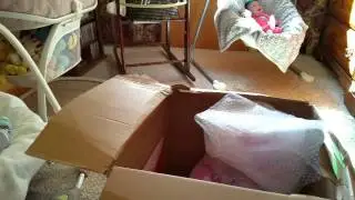 Reborn Toddler Box Opening! Gabriella sculpt. Peekaboo-Timeout #20