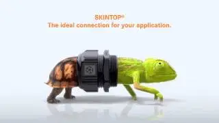 SKINTOP&reg; Cable Glands | Lapp Group Ltd