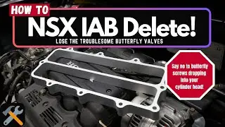 How to: NSX IAB Delete! Save your engine from catastrophic failure! (Full DIY) VVIS Butterfly Valves