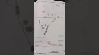 💯💯💯💯 preparatory exam paper 1 All maps 🥳🥳🤫