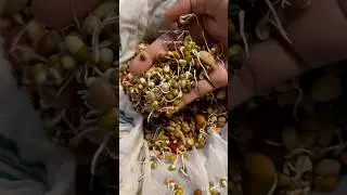 How to make mixed sprouts at home #homemade #sprouts #food #trendingrecipe #cooking #viralfood