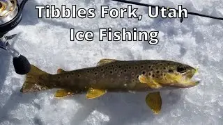 Ice Fishing Tibble Fork Reservoir, Utah - Utah Ice Fishing 2022