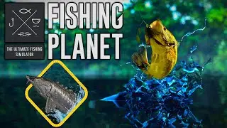 🎮 Bonus Game: Fishing Planet - Dnipro Monster - Sturgeon Leviathan (Esturjão Leviatã)