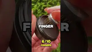 Put a Finger Down – MUSIC EDITION  #shorts #viralshorts