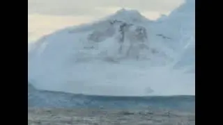 #shorts#antarctica#icebergs