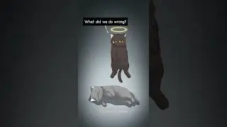 Stray Cats Are Not Trash, Show Them Compassion #cat #animation #short