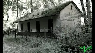 Horror Forest Edit | VISUP