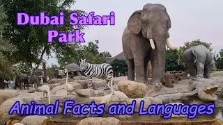 Animal Facts and Languages from Dubai Safari Park (Photos)