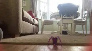 Mini Hexobug