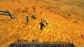 World of Warcraft Classic - Dwarf Hunter - Gameplay