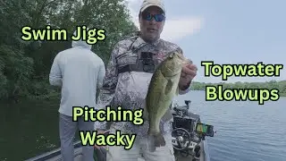 Fishing the Weeds & Brush: Swim Jigs, Wacky Rigs & Topwater Blowups!