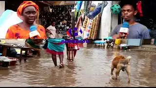 Premi&egrave;res pluies &agrave; Bambilor : R&eacute;action choquante des populations - Reportage