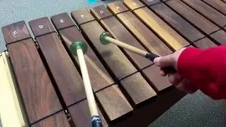 Radioactive chorus Bari