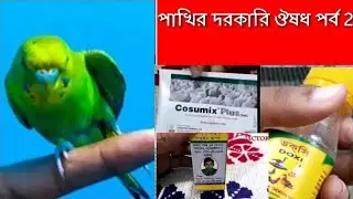 Bird Medison part 2.