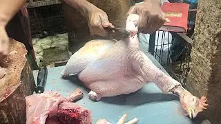 Professional Chicken cutting skills by Rakib || How to cut whole chicken || Fast chicken cutting