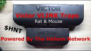 Victor VLINK Traps - Powered By The Helium Network | CAUGHT A MOUSE! ($HNT)