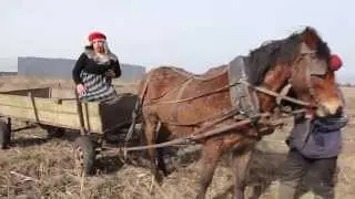 POTREZ-Selska i grada/ ПоТReZ- Селска и града (селска пръчка)