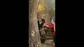 Mysterious Shell Grotto Kent England.the walls decorated with 4.6 million seashells.tour w/ friends