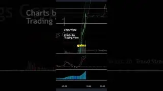 Secrets to Achieve 300% Trading Gains by Mastering pre and post Market Trading Techniques #shorts