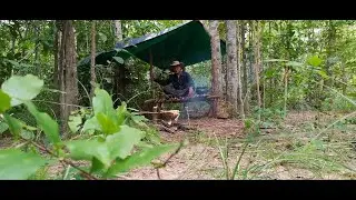 Go to the forest to set up a tent to cook alone