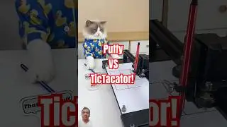 Puffy vs TicTacator! Cheat mode activated. #shorts #littlepuff #funny #cat #furball