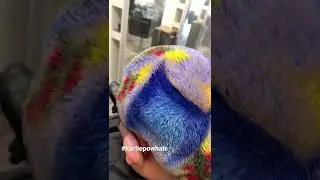 Landscape festive winter hair! Hand painted hair!