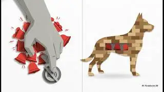 Hundallergi: Återbyggnad  #hund bröstcancer#hund juvertumör