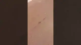 Menino Gabriel acelera  motinha e vai embora