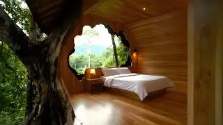 This Giant Tree Is Hiding a Luxury Jungle House 😱
