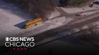 1 driver killed, 10 kids go to hospital when car, school bus collide near Manhattan, Illinois