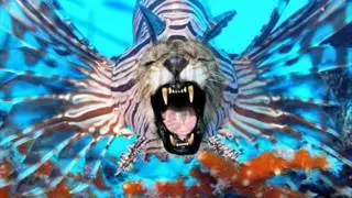The Crustaceans - Ghost Shrimp