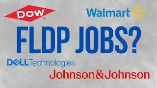 What NO ONE Tells You About Finance Leadership Development Programs (FLDPs)