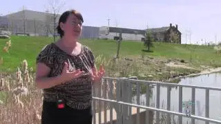 Science Scoop- Episode 12 - Aquatic Ecology
