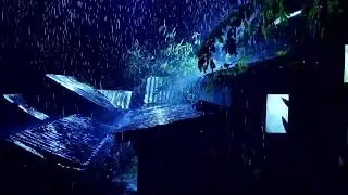 Beat Insomnia to Sleep Well with Torrential Rain, Insect Sounds and Rolling Thunder on a Metal Roof